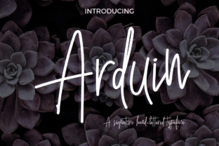 Arduin: A Script Font for Creative Projects