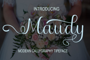Maudy: A Playful Font for Campaign Creativity