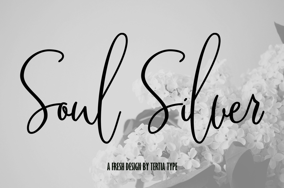 Soul Silver: The Font That Elevates Your Digital Brand