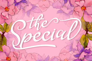 The Special: A Script Font for Elegance and Campaign Impact